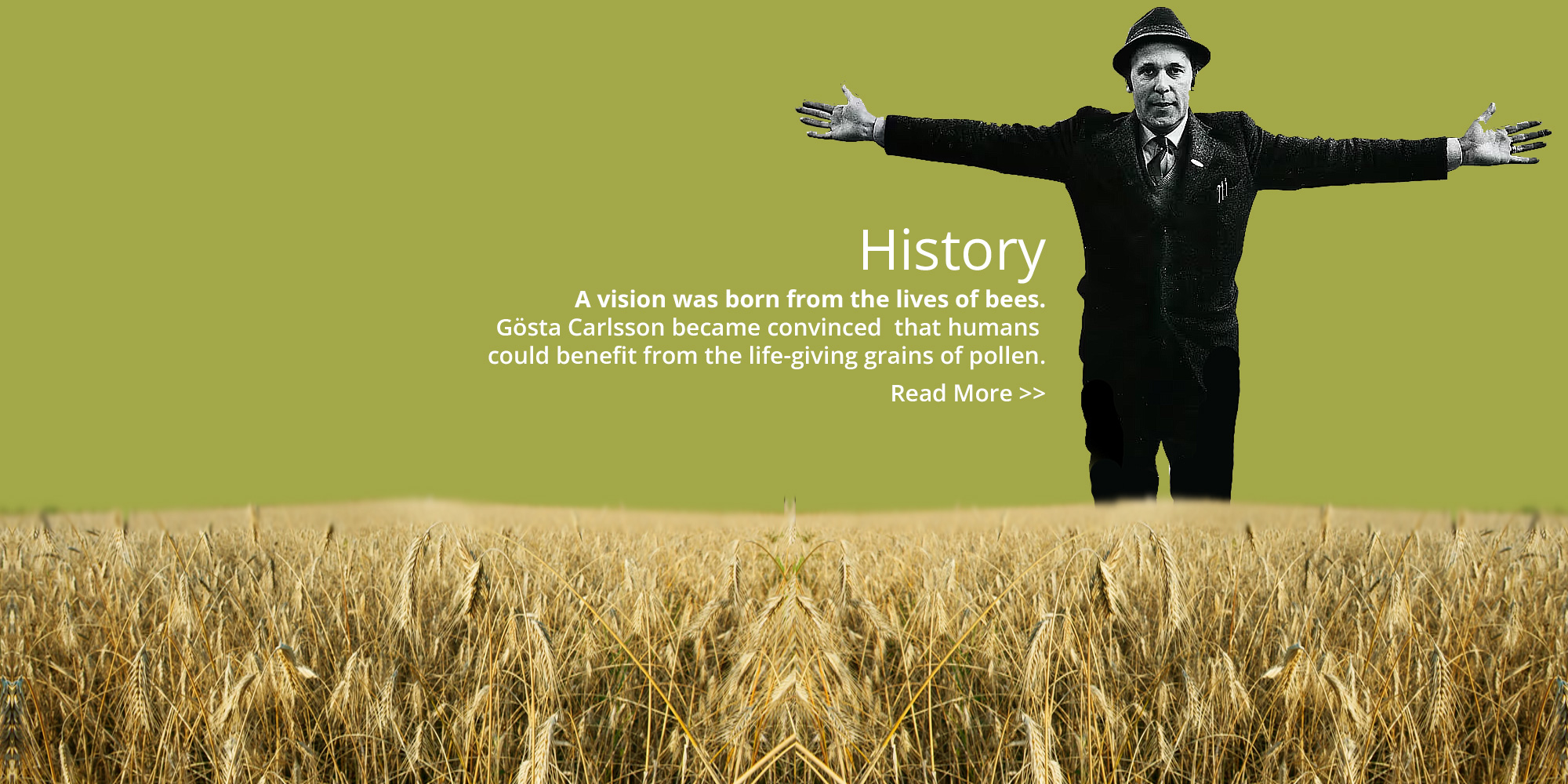 Gösta Carlsson Gösta Carlsson