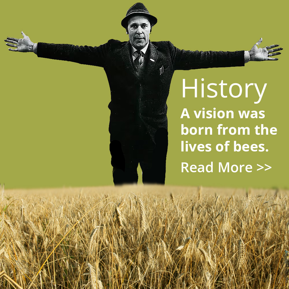 Gösta Carlsson Gösta Carlsson